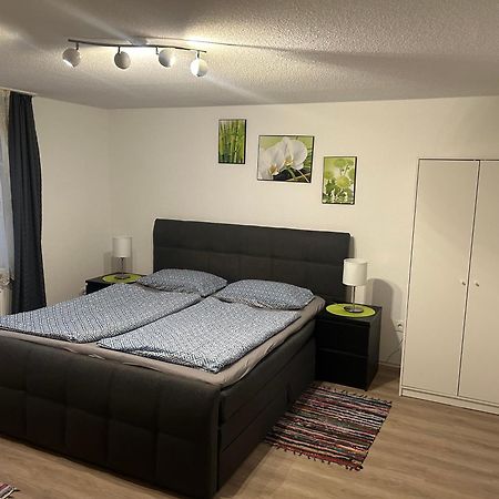 Ferienhaus Ayna, Direkt An Der Schweizer Grenze Bad Sackingen Ngoại thất bức ảnh
