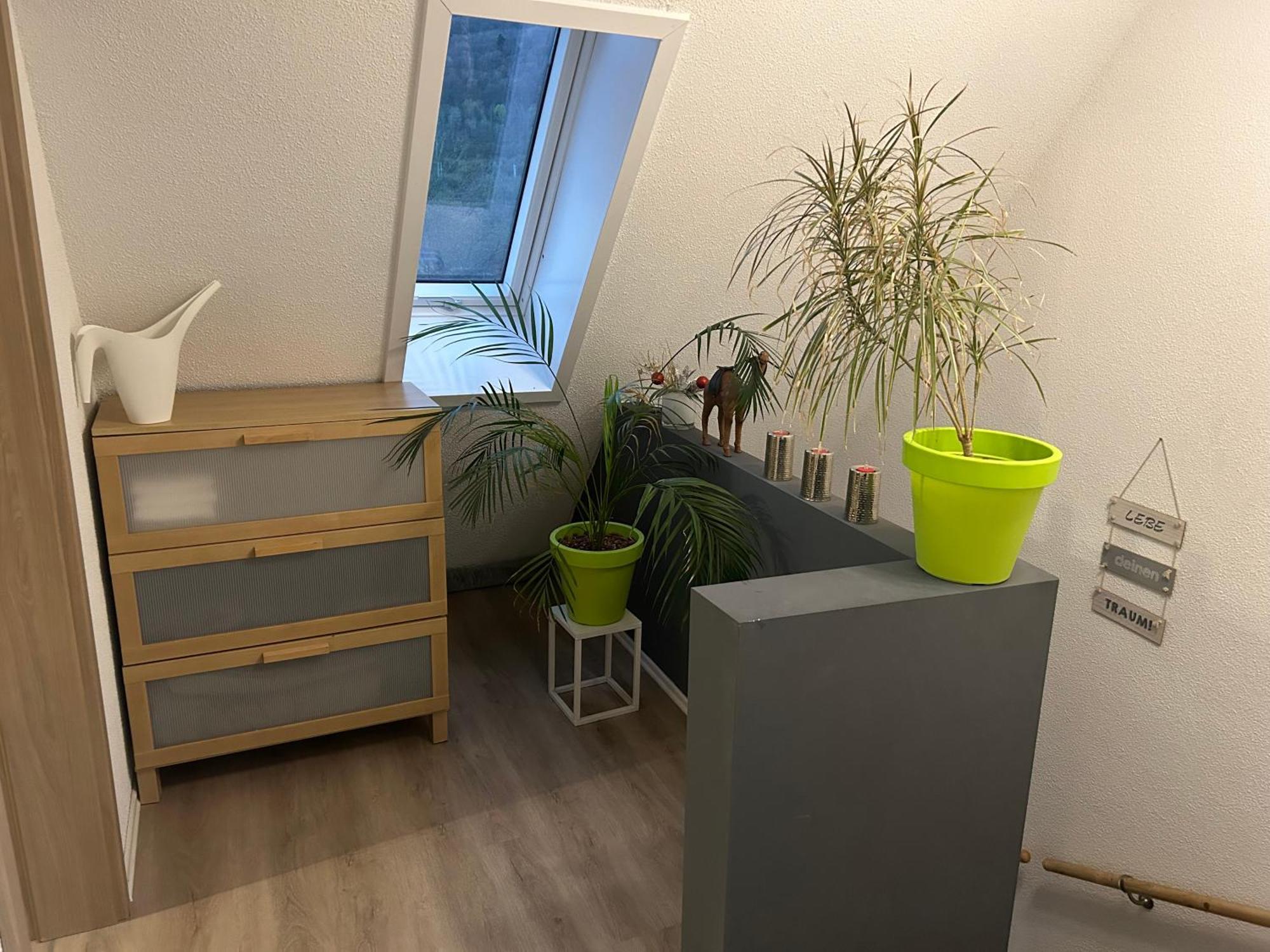 Ferienhaus Ayna, Direkt An Der Schweizer Grenze Bad Sackingen Ngoại thất bức ảnh